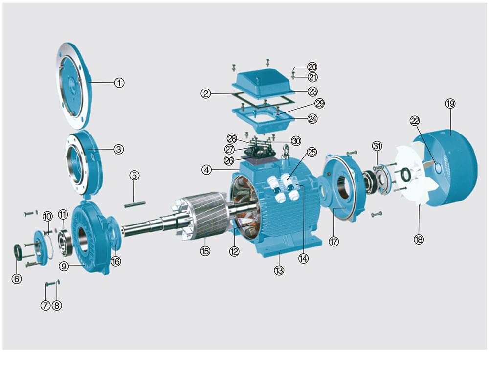 方力YE2高效鑄鐵電機(jī)結(jié)構(gòu)說明1